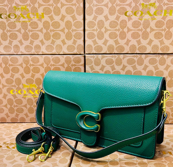 Coch tabby bag l