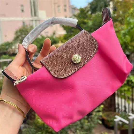 Long Cham handbag