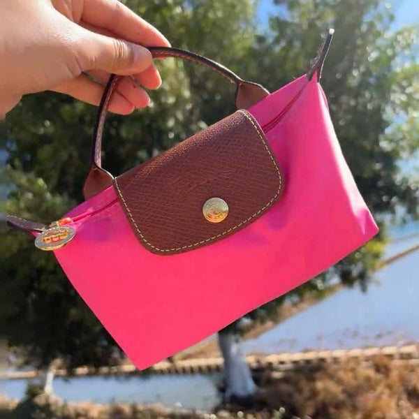 Long Cham handbag
