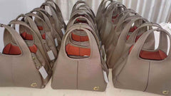 coch famous brand handbag