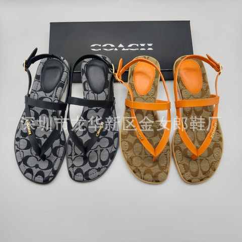 C Limited edition sandel