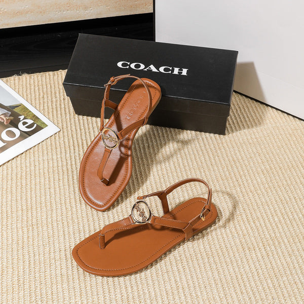 C sandel limited edition