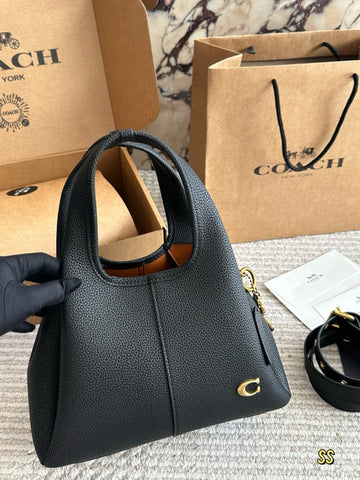 C Limited edition handbag latest edition