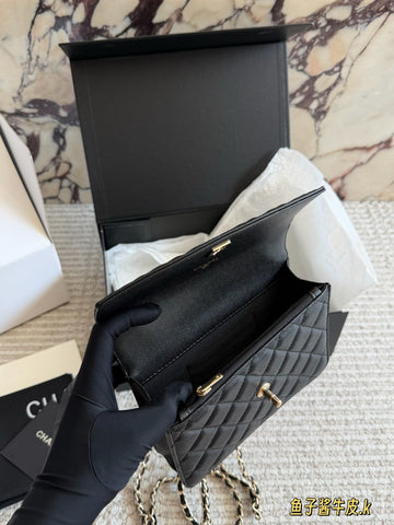 C Limited edition handbag latest edition