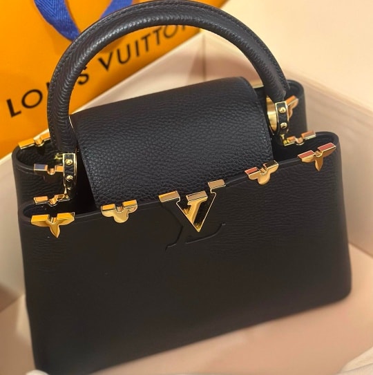 Louis Vuitton Capucines Bag