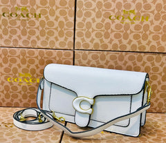 Coch tabby bag l