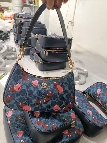 Coach cherry bag
